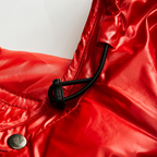 Bruce - Glossy Hooded Puffer Jacket